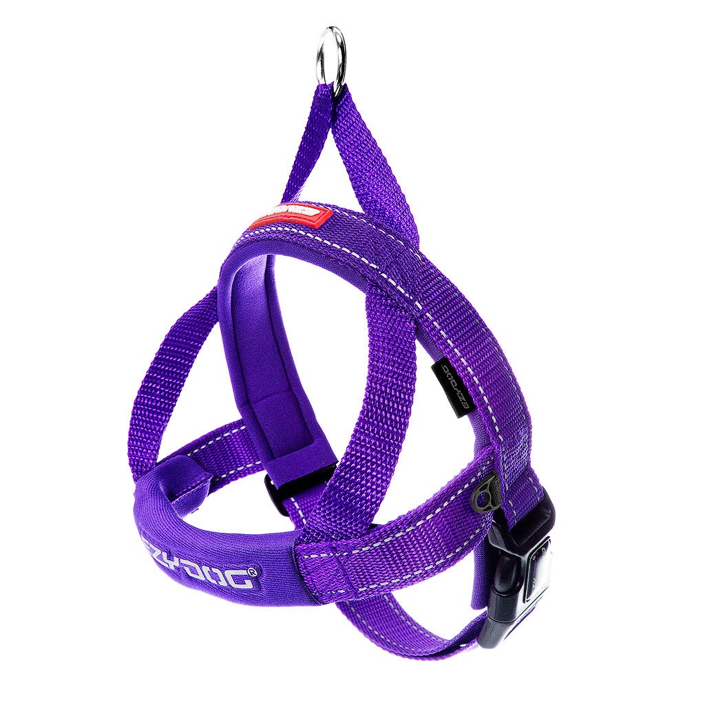 Quick fit hot sale dog harness