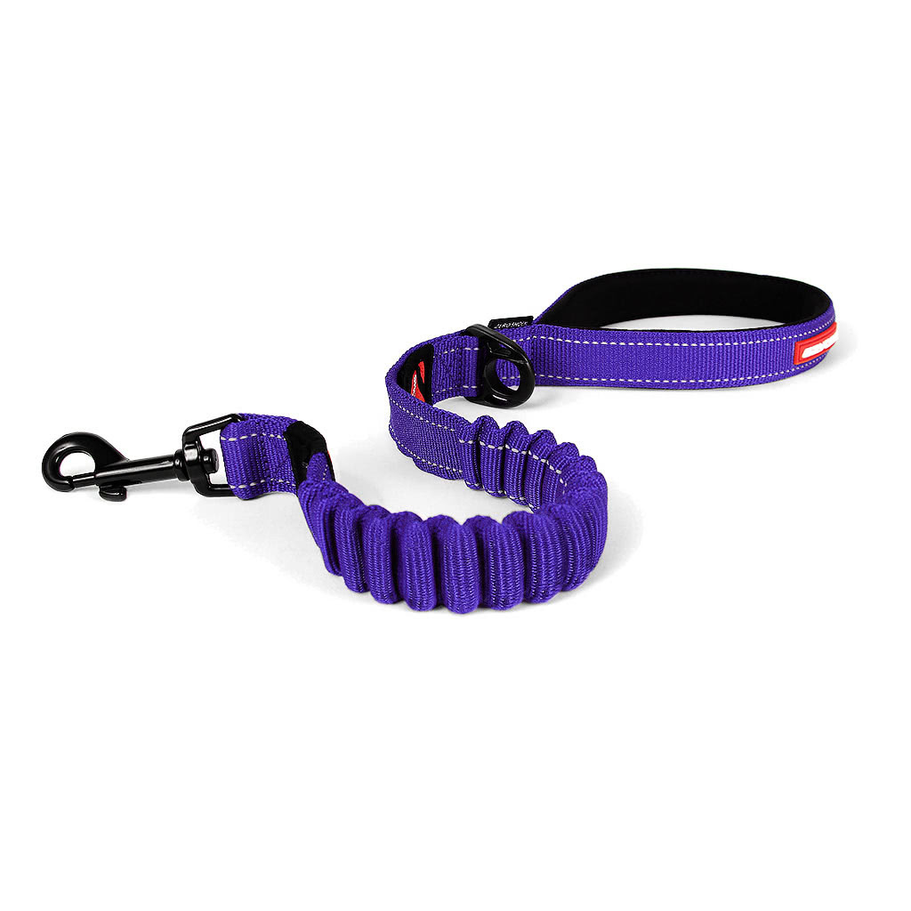 purple leash